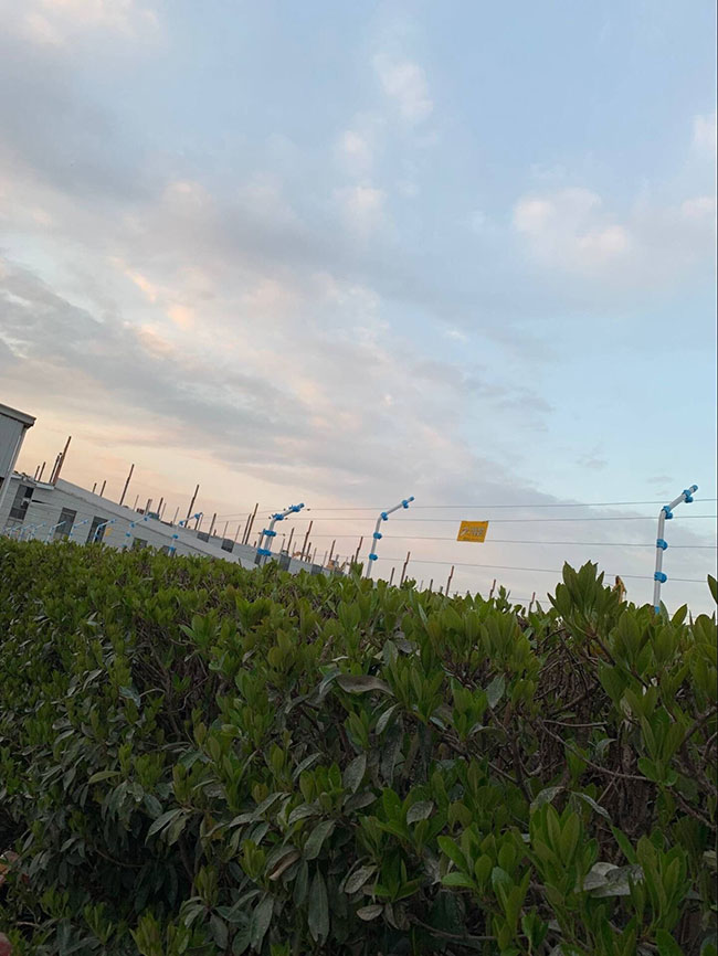 長三角工業(yè)園區(qū)電子圍欄